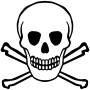 scull2.jpeg