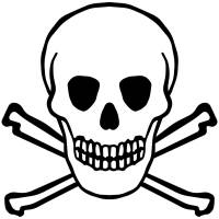 scull2.jpeg